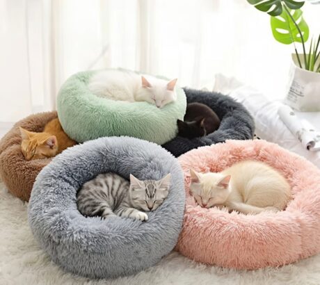 cat bed image beds for cats