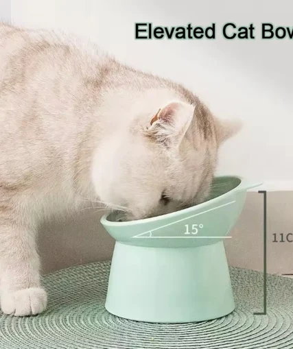 Elevated Cat Bowl